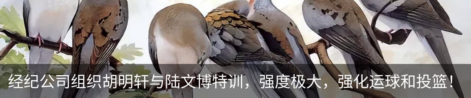 行业资讯